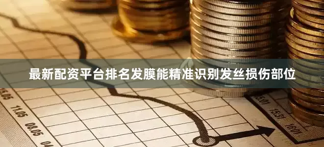 最新配资平台排名发膜能精准识别发丝损伤部位