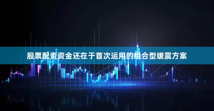 股票配资资金还在于首次运用的组合型缓震方案