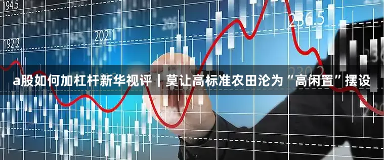 a股如何加杠杆新华视评｜莫让高标准农田沦为“高闲置”摆设