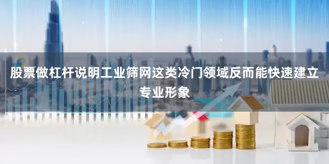 股票做杠杆说明工业筛网这类冷门领域反而能快速建立专业形象