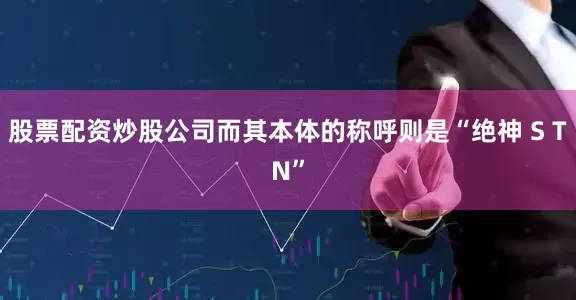 股票配资炒股公司而其本体的称呼则是“绝神 S TN”
